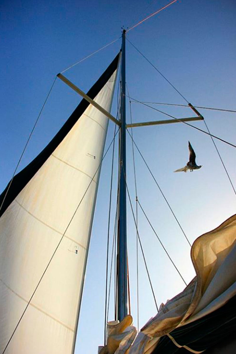 Boot und Möwe segeln über den Himmel auf Teneriffa.