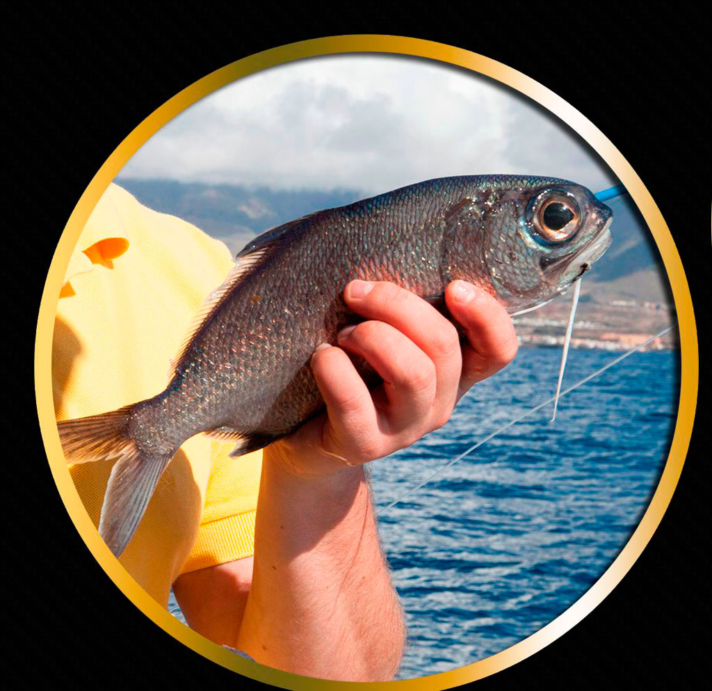 Fischer, der einen Fisch vor dem Meer auf Teneriffa hält.