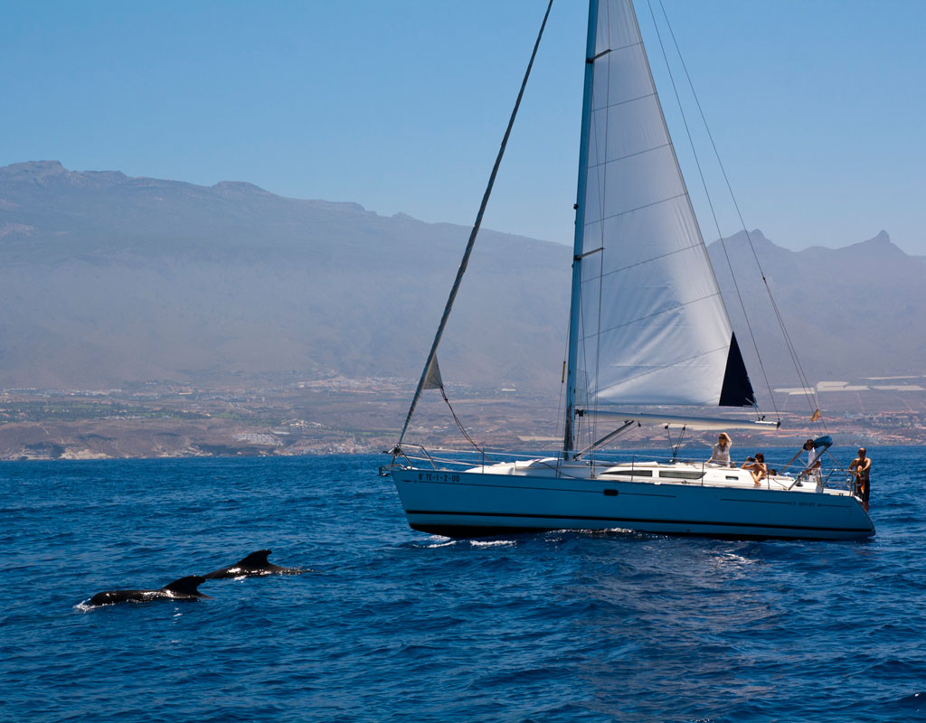 Segelboot, das neben Delfinen an der Küste Teneriffas segelt.