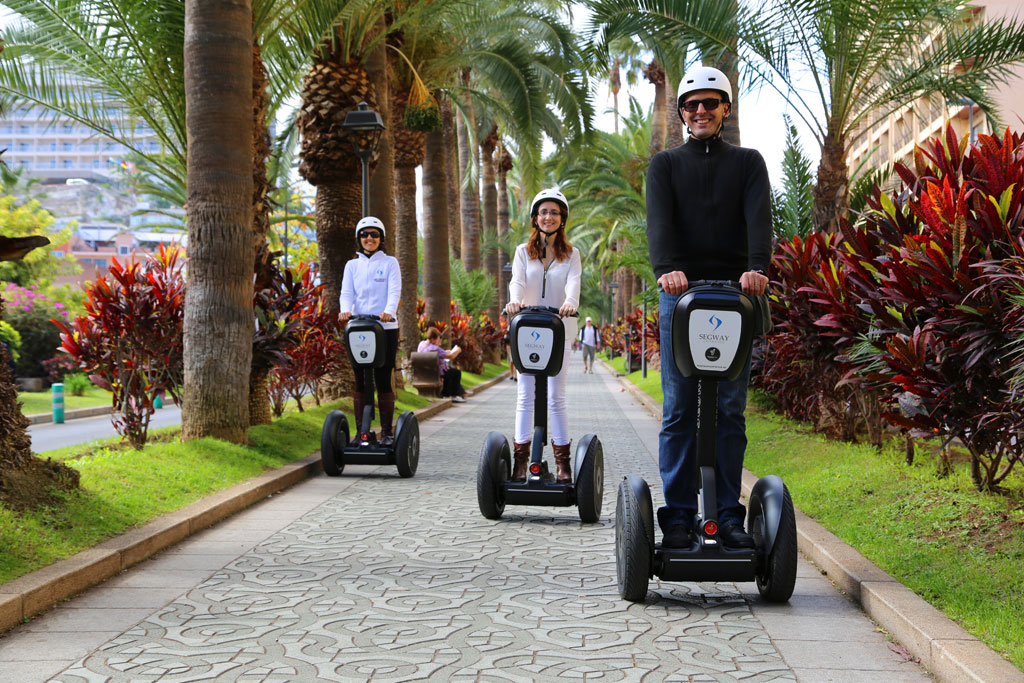 Drei Personen auf Segways fahren entlang einer von Palmen gesäumten Allee auf Teneriffa.