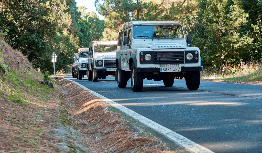 Drei Land Rovers fahren auf einer von Wald umgebenen Straße auf Teneriffa.