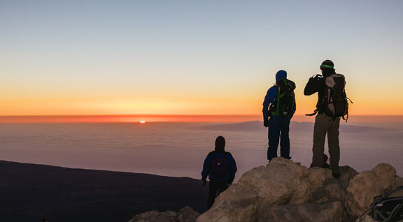 Excursiones organizadas