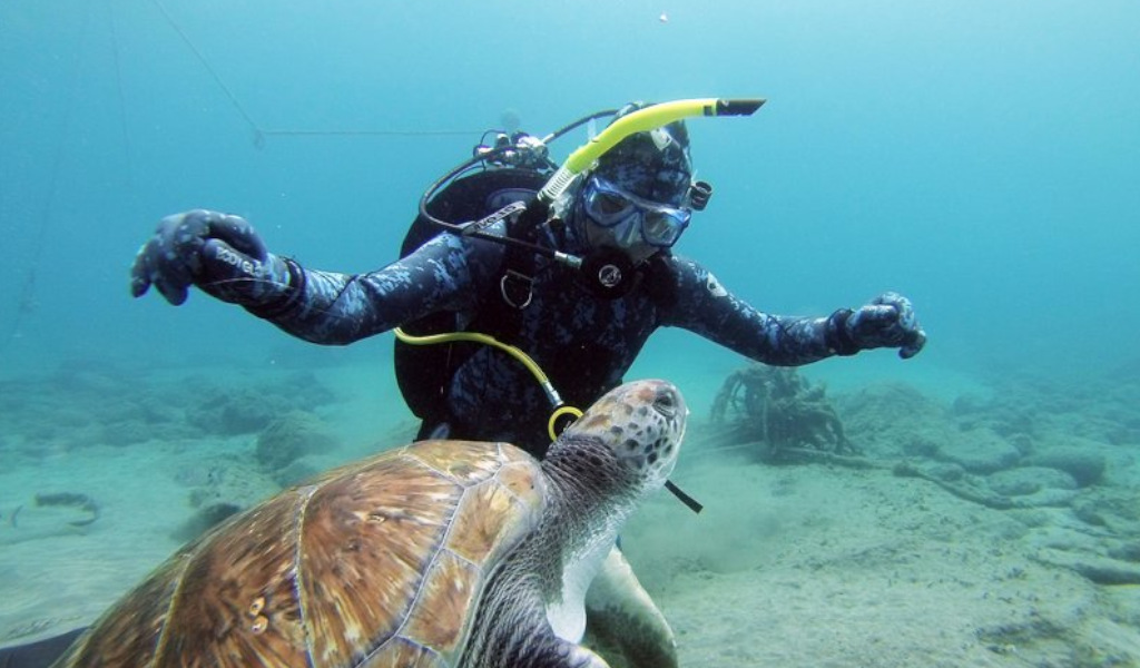 Taucher, der mit einer Meeresschildkröte in den Gewässern von Teneriffa schwimmt.