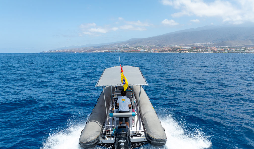 Boot auf dem Ozean mit Blick auf die Küste von Teneriffa.