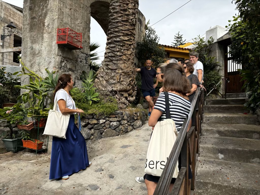 Menschen sprechen und beobachten Pflanzen neben einer Palme in einem Garten auf Teneriffa.