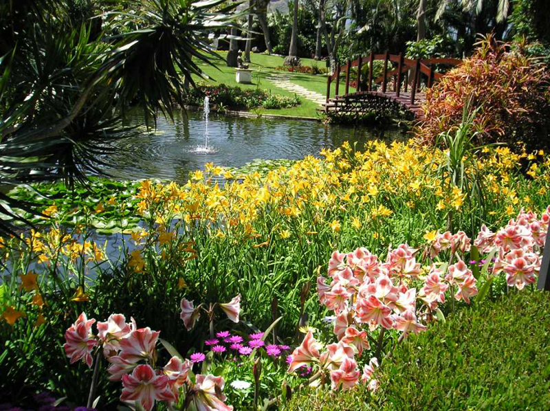 Garten mit Blumen und ein Teich mit Brunnen und Brücke auf Teneriffa.