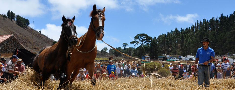 Trilla Tradicional en El Tanque
