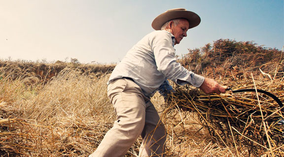 Actividades culturales