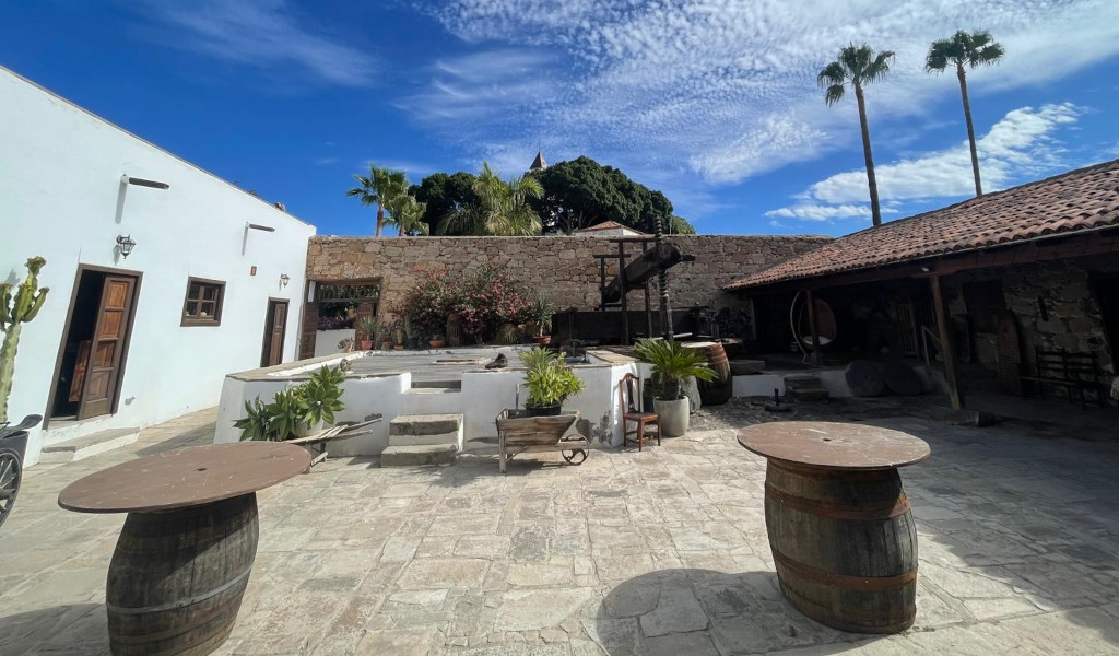 Traditionelle Terrasse mit Fässern und Pflanzen in Icod de los Vinos, Teneriffa.