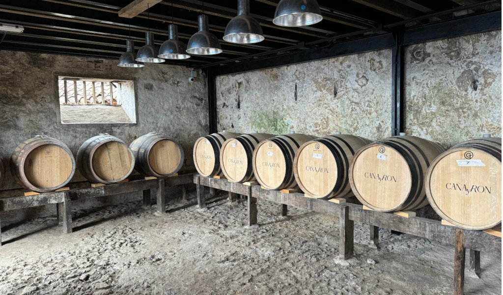 Weinfässer im Weingut auf Teneriffa sind mit CANARIO gekennzeichnet.
