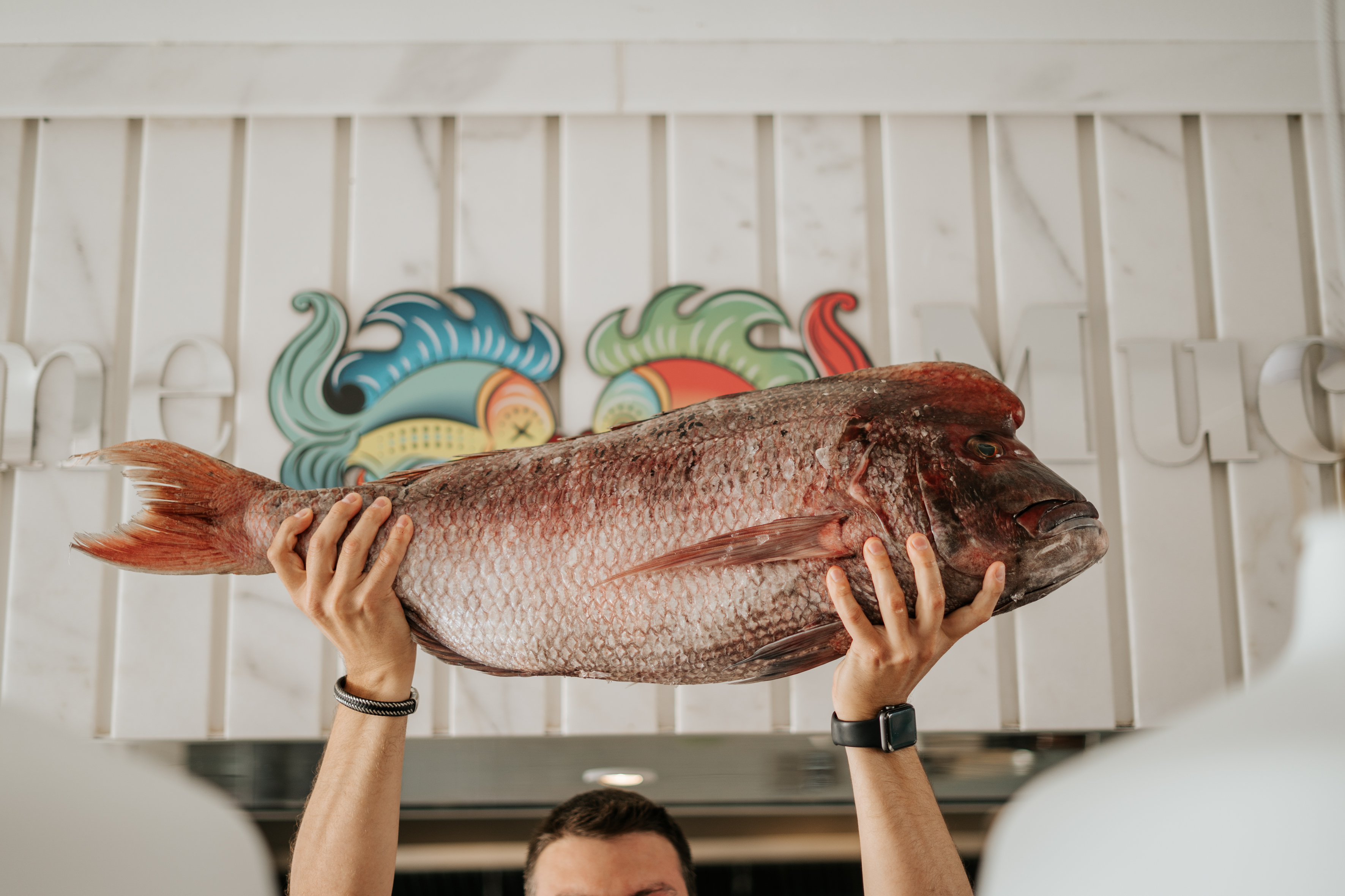 Großer Fisch, der von einer Person hochgehalten wurde, der Hintergrund mit Farben dekoriert.