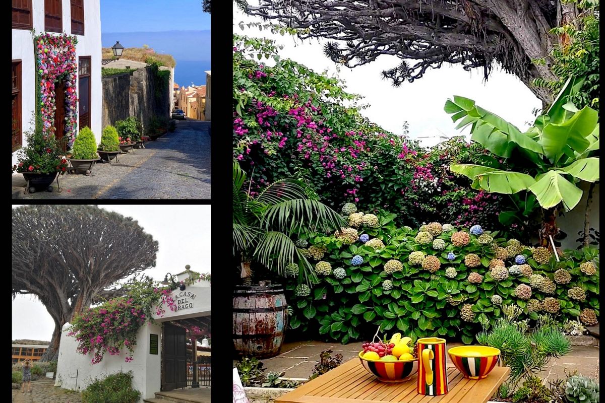 Kopfsteinpflasterstraße mit Blumentöpfen und Meerblick auf Teneriffa. Sträucher und Blumen im Teneriffa-Garten. Eingang zur Casa del Drago mit ikonischem Baum auf Teneriffa.