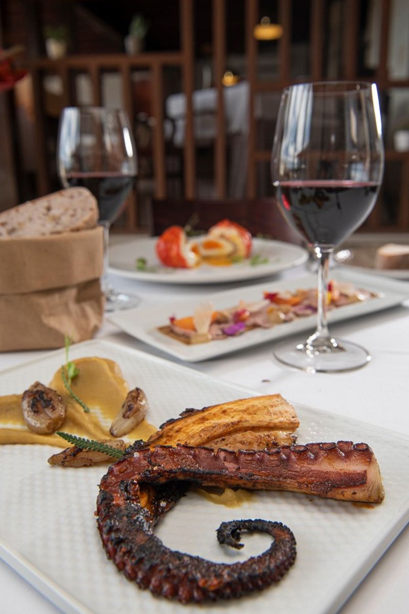 Gerösteter Oktopus mit Püree und Pilzen in einem Restaurant auf Teneriffa.