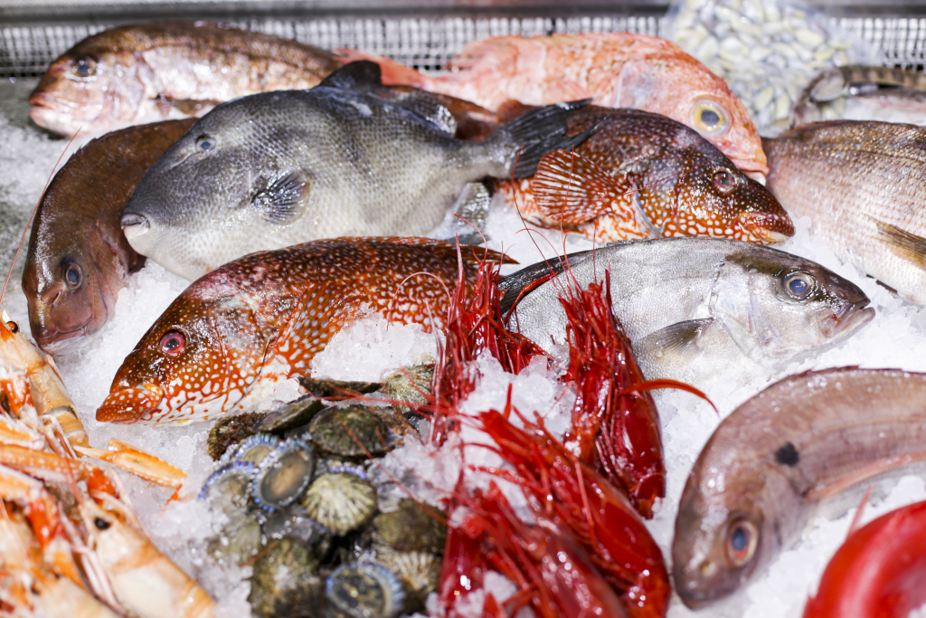 Vielfalt an frischem Fisch und Meeresfrüchten auf Eis auf Teneriffa.
