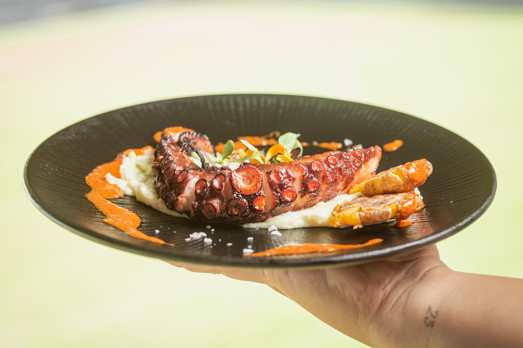 Gegrillter Oktopus auf Püree, mit Soße dekoriert, serviert auf Teneriffa.