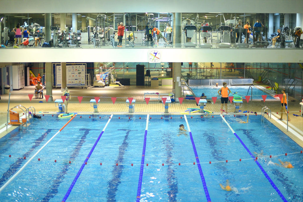 natacion-piscina-complejo-deportivo-insular.jpg