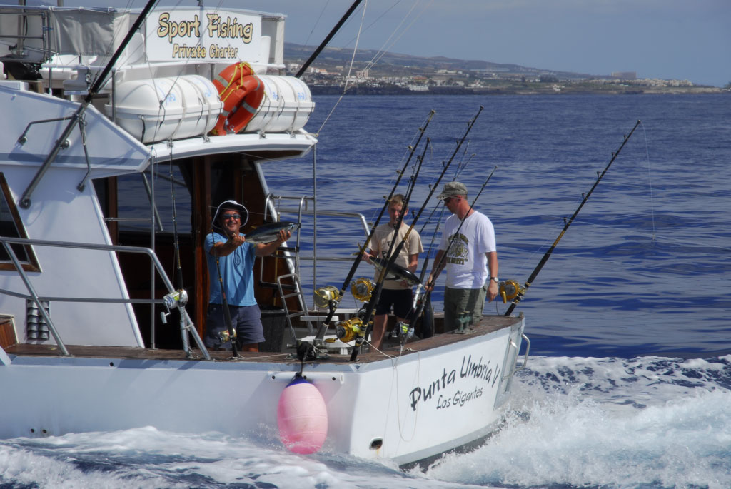 Menschen, die auf einem privaten Charterboot in Los Gigantes, Teneriffa, angeln.
