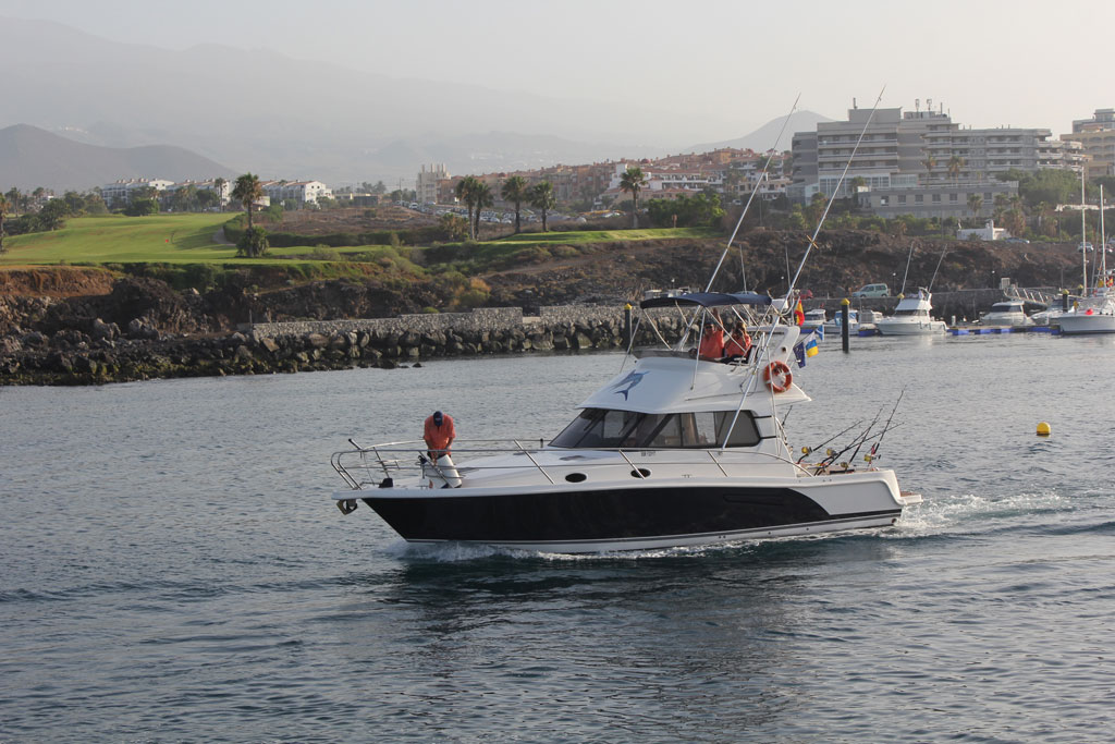 Fischerboot fährt nahe der Küste auf Teneriffa, mit Palmen und Gebäuden im Hintergrund.