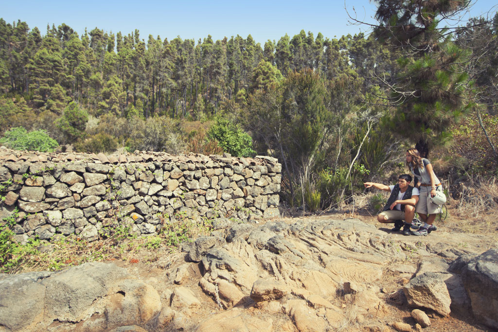 Menschen, die eine Steinmauer in einem Wald auf Teneriffa beobachten.
