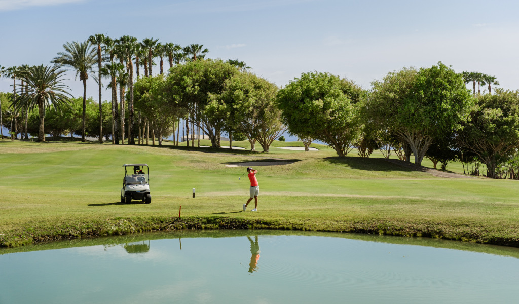 Person, die Golf auf einem Feld mit Palmen und einem Wagen auf Teneriffa spielt.