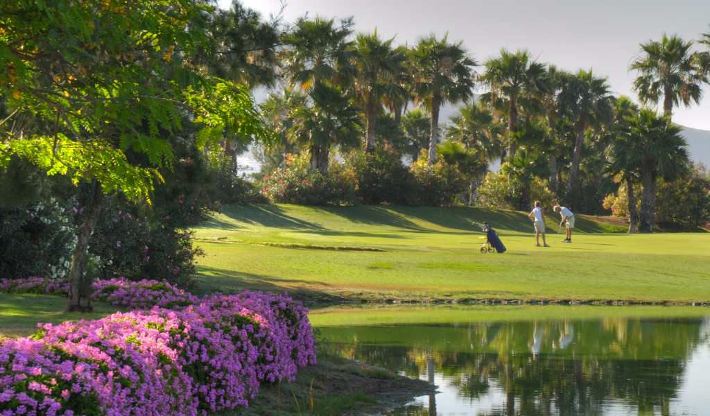 Menschen, die Golf auf einem Feld mit Palmen auf Teneriffa spielen.