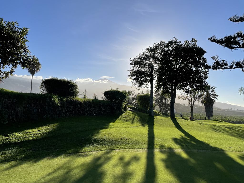 Bäume und Gras unter der Sonne mit Bergen im Hintergrund auf Teneriffa.
