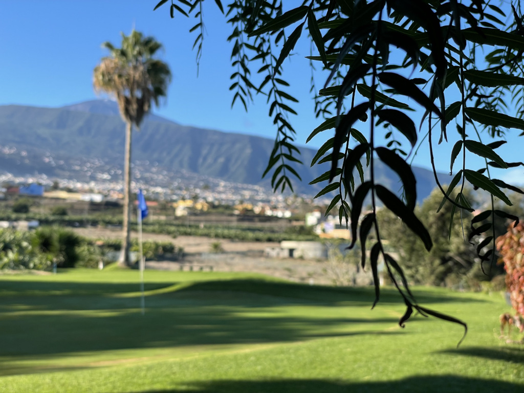 Golfplatz auf Teneriffa mit Berg und Baum im Hintergrund.