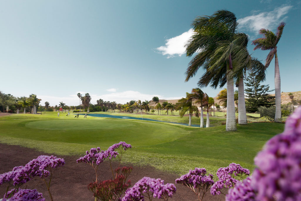 Golfplatz mit Palmen und violetten Blumen auf Teneriffa.