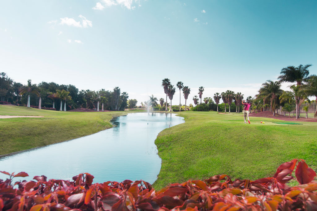 Golfplatz mit Palmen und See in Costa Adeje, Teneriffa.