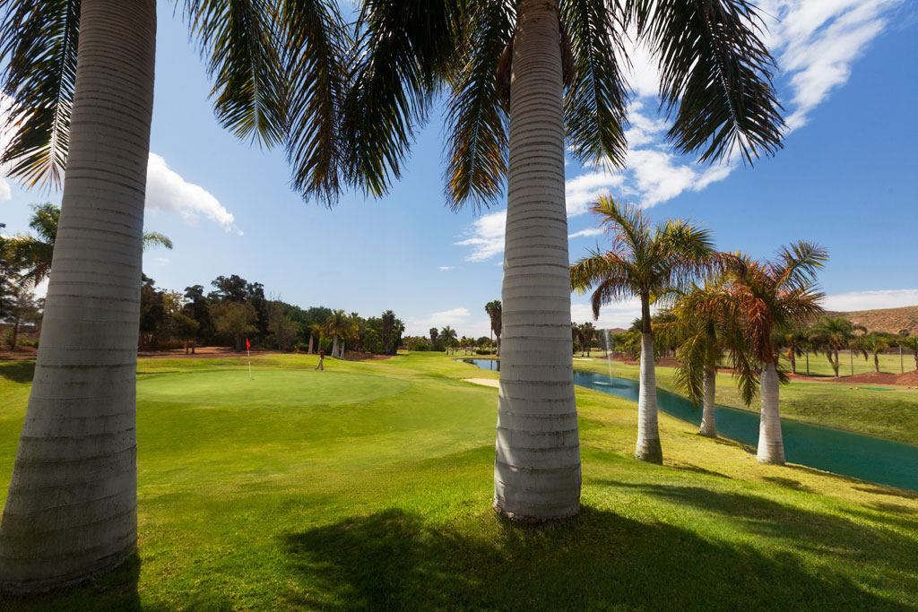 Golfplatz, umgeben von Palmen auf Teneriffa, klarer Himmel.