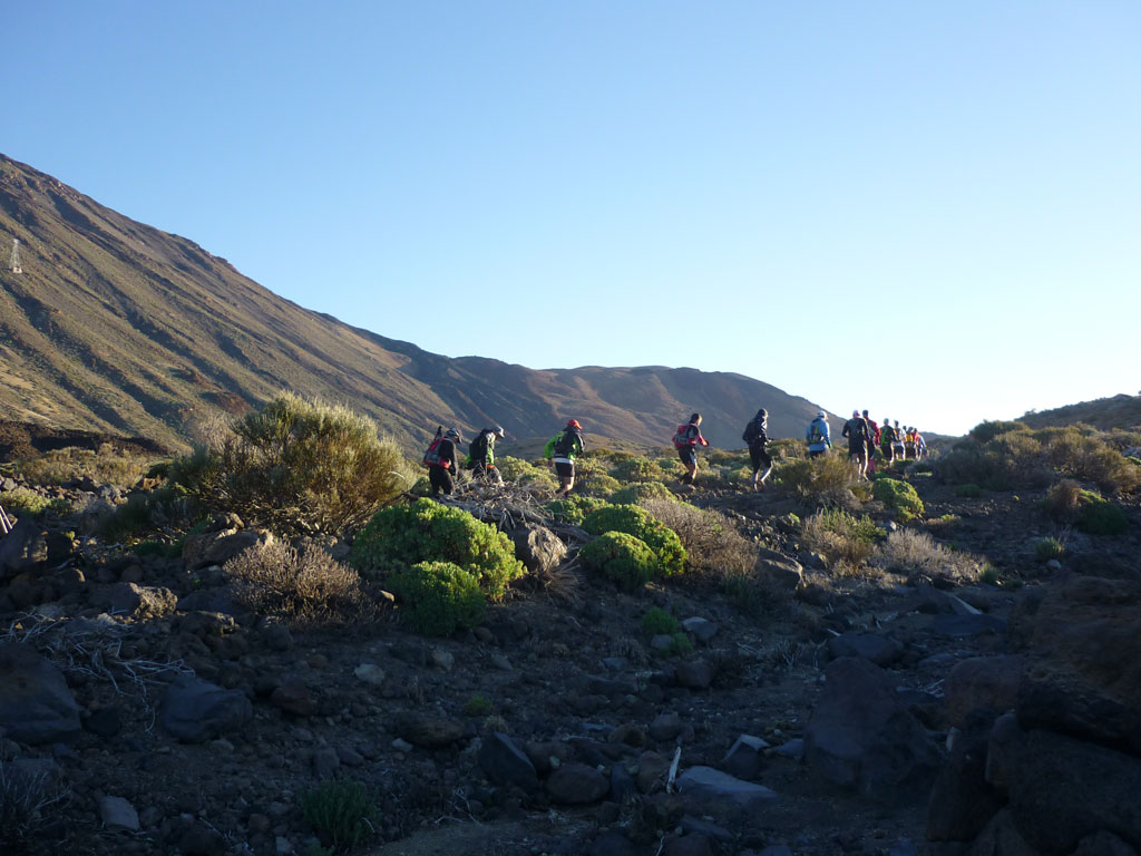 Gruppe von Menschen wandert im Teide-Nationalpark auf Teneriffa.