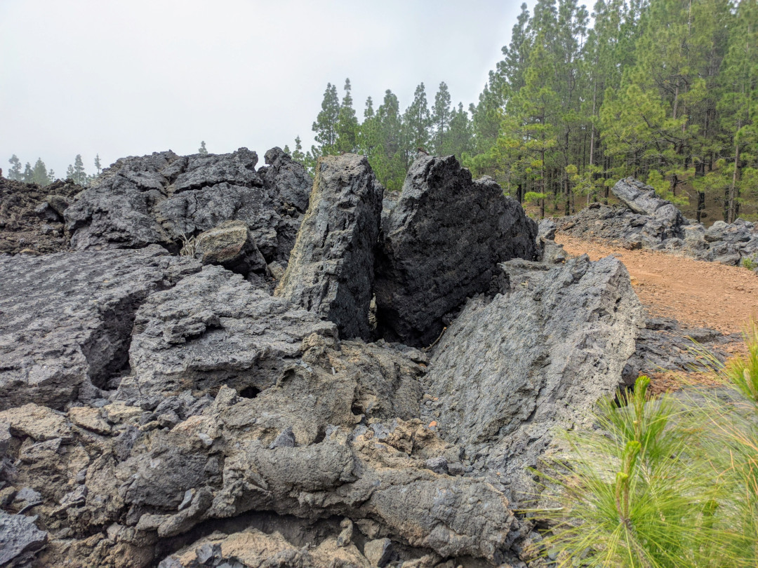 Vulkanische Steine und Kiefern auf einem Weg auf El Teide, Teneriffa.