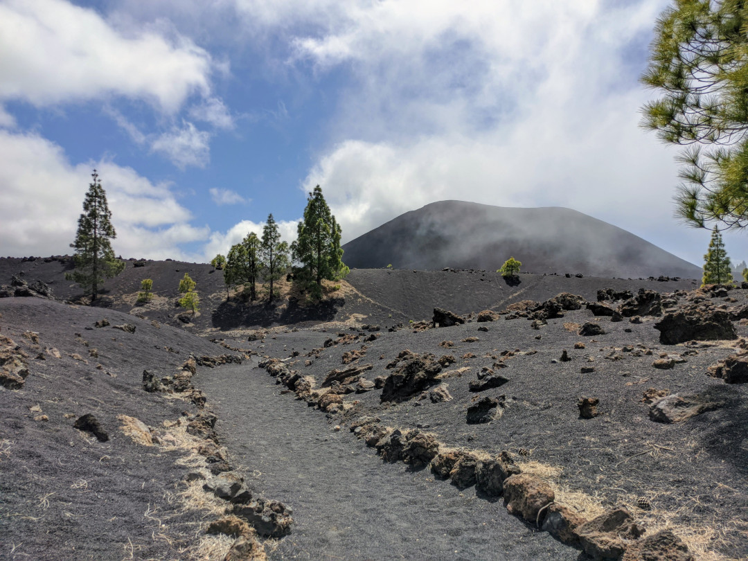 Vulkanischer Weg im Nationalpark Teide, Teneriffa, mit Kiefern und bewölktem Himmel.