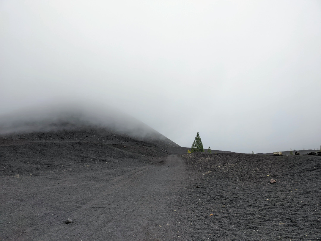 Neblige vulkanische Landschaft auf Teneriffa, mit einer Schotterstraße und verstreuten Kiefern.