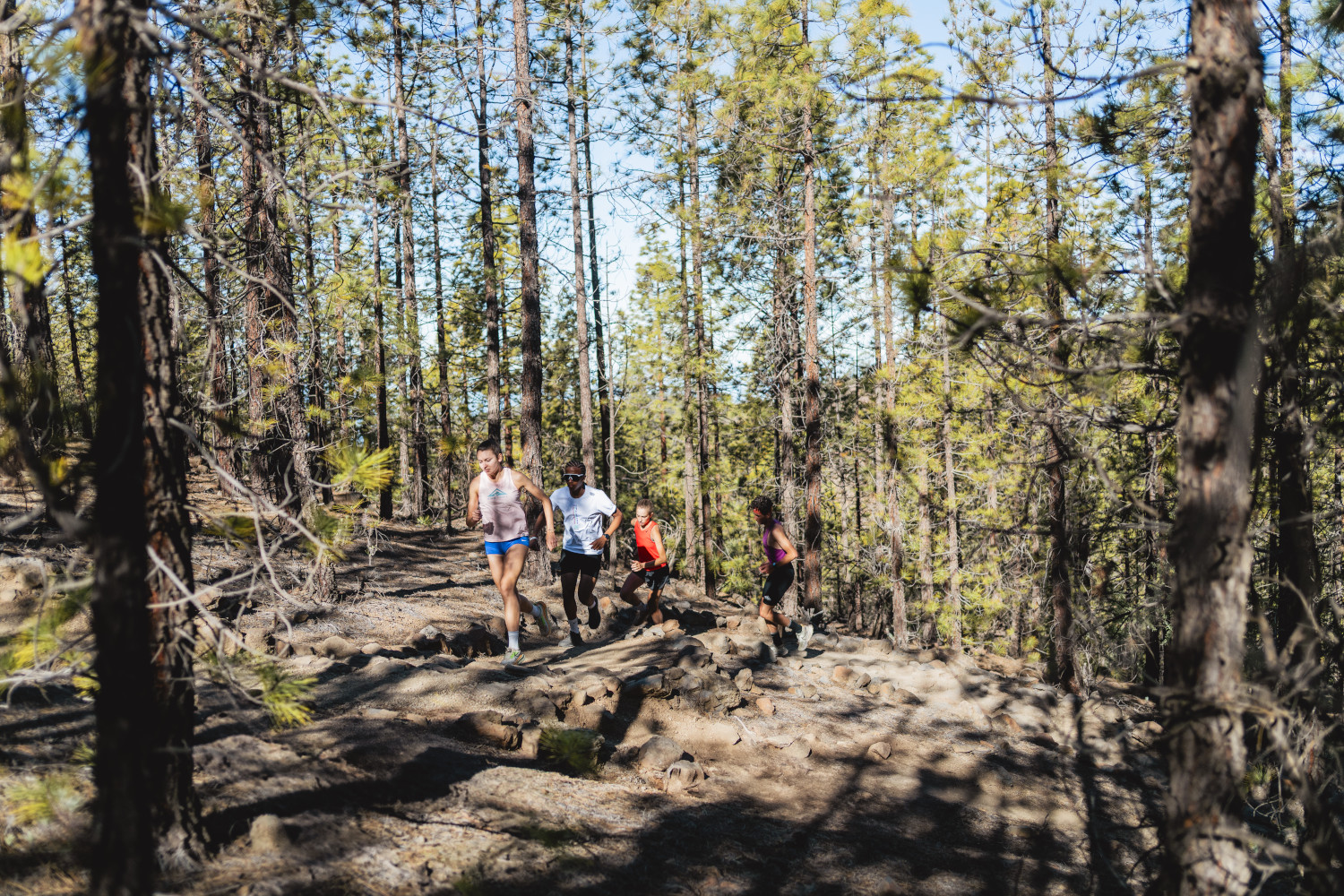 Eine Gruppe von Menschen, die einen Pfad im Wald von Teneriffa entlanglaufen.