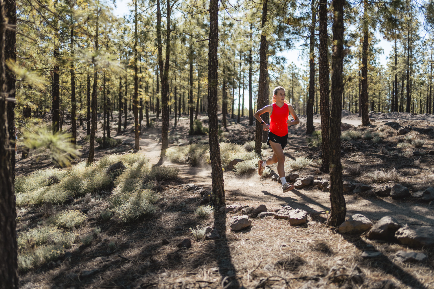 Person, die in einem Kiefernwald auf Teneriffa rennt.