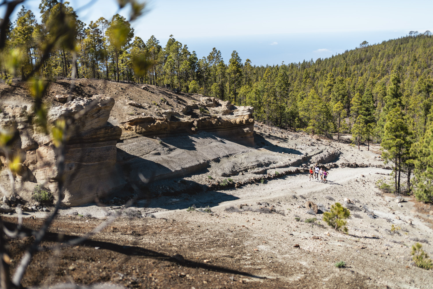 Weg zwischen Felsformationen und Kiefern in Vilaflor, Teneriffa.