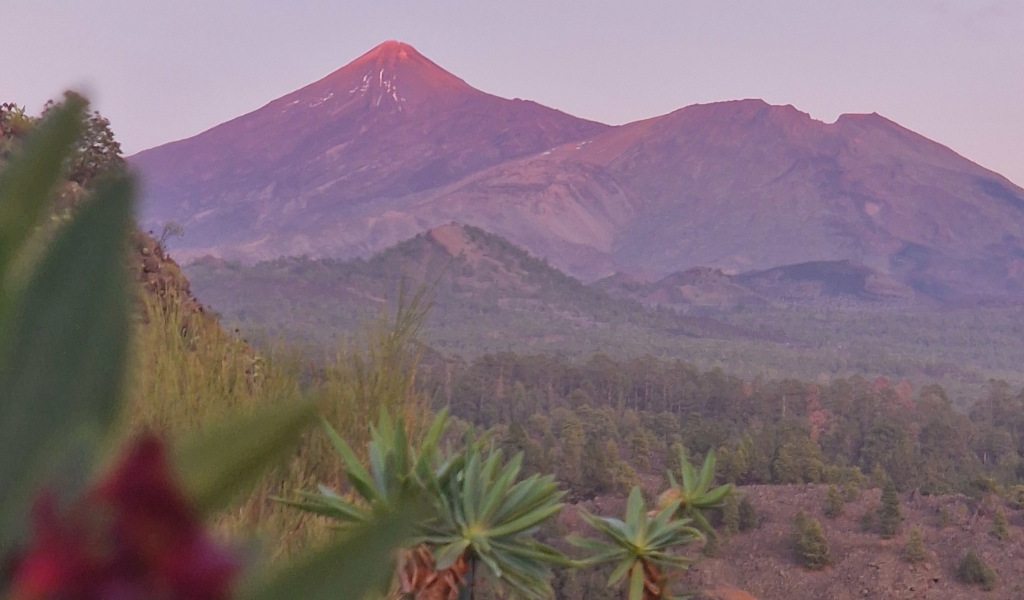 Blick auf den Teide und die natürliche Landschaft auf Teneriffa bei Sonnenuntergang.