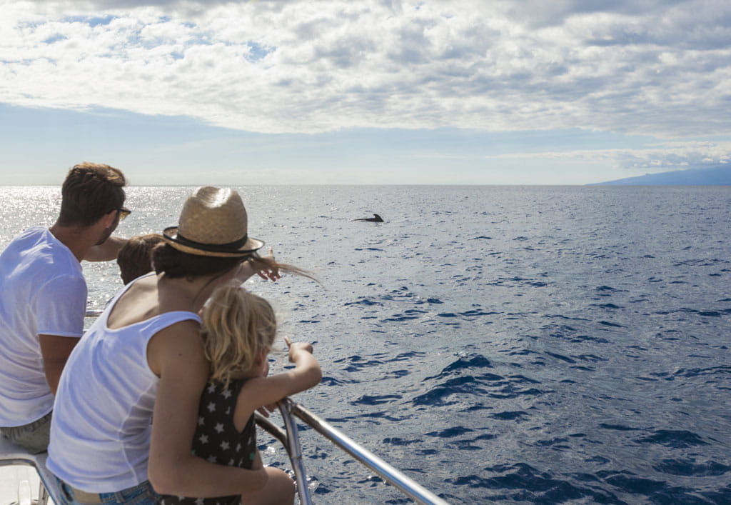 avistamiento-cetaceos-gal02.jpg