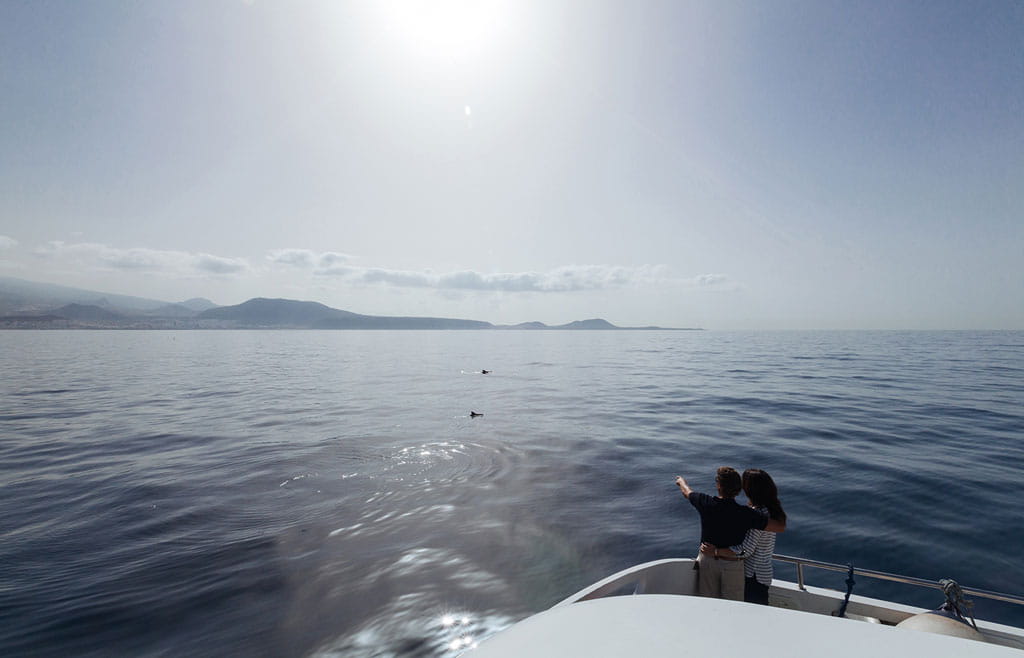 avistamiento-cetaceos-gal12.jpg
