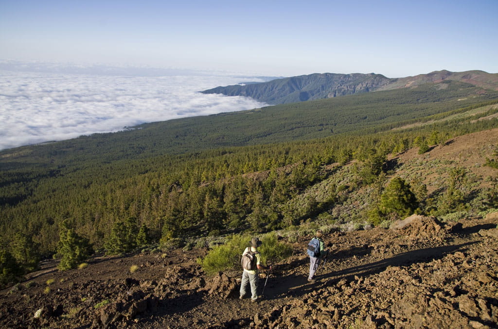 Wanderer gehen einen Weg im Nationalpark Teide auf Teneriffa mit Panoramablick.