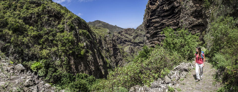PR-TF 53 Los Silos - Cuevas Negras - Erjos