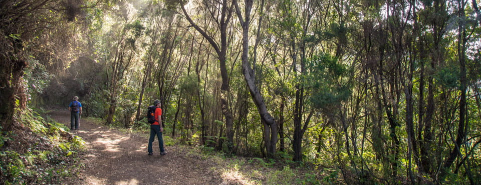 Pista de Las Hiedras