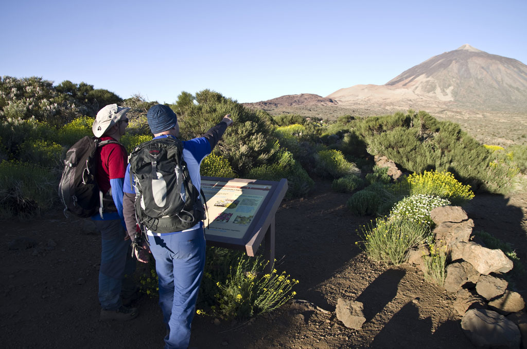 Zwei Personen beobachten die Landschaft in Richtung Teide auf Teneriffa, tragen Rucksäcke und zeigen auf einen Vulkan.