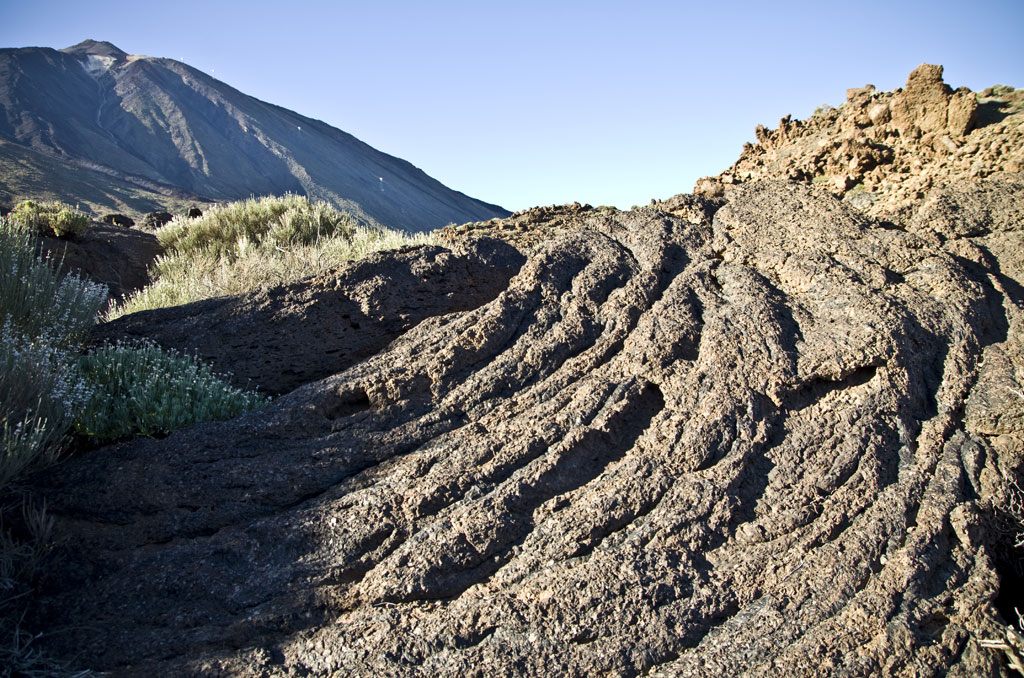Lavabildung und Vegetation im Nationalpark Teide, Teneriffa.