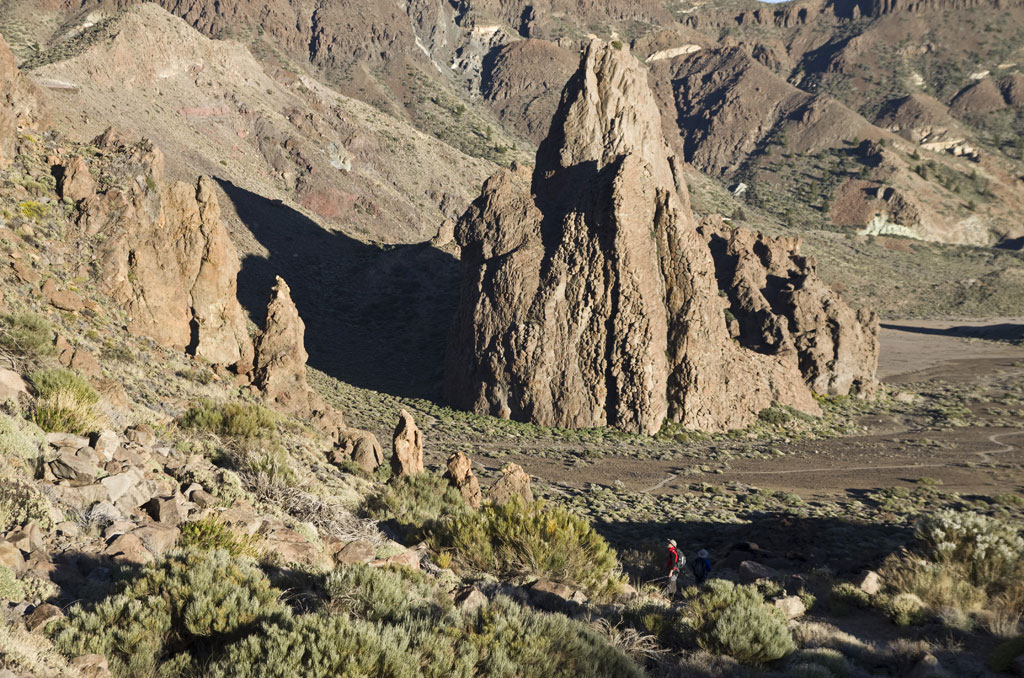 Felsformationen im Nationalpark Teide, Teneriffa, mit Vegetation im Vordergrund.