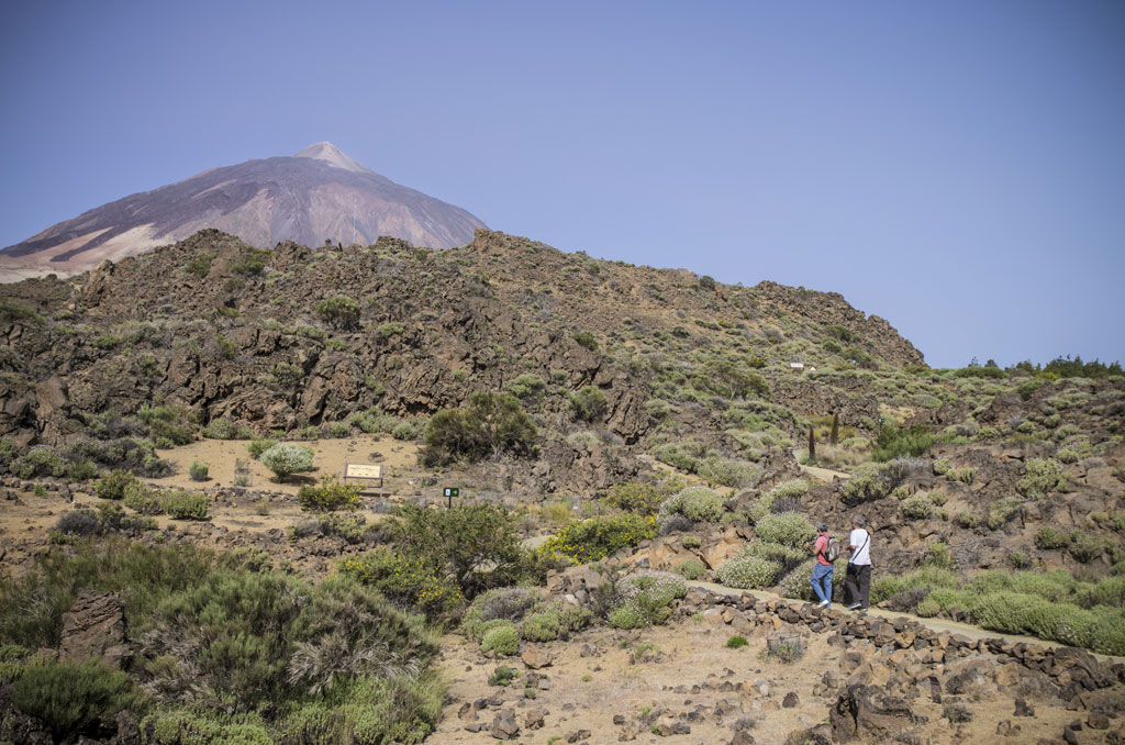 Parque Nacional del Teide - Tramo accesible Jardín Botánico