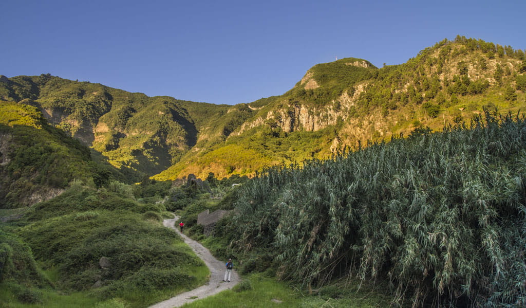 PR-TF 40 Ladera de Tigaiga