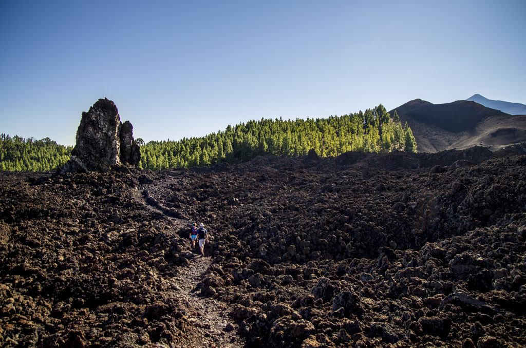 Wandern Sie in vulkanischer Landschaft mit Felsen und Kiefern auf Teneriffa.