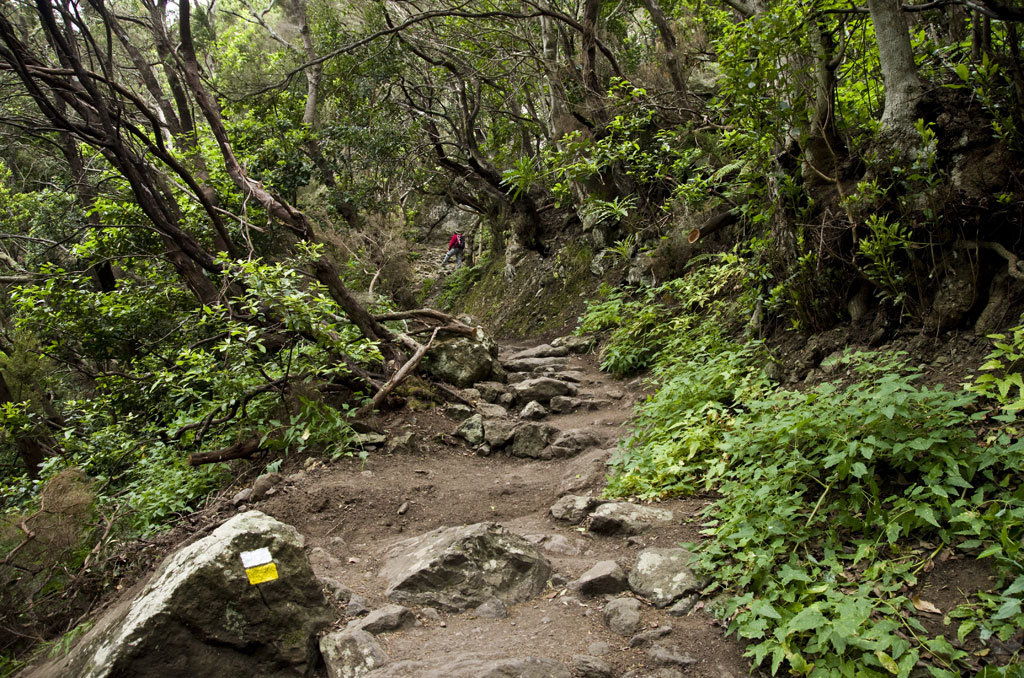 PR-TF 5 Chamorga - Igueste de San Andrés